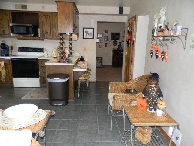 25141 South Chicago Road Elwood, IL 60421 - Photo 5 of 25