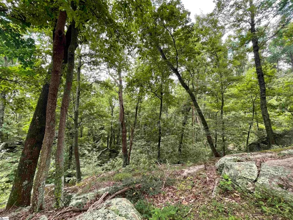 $100,000 | 0 Pine Shadow Lane, Landrum, SC 29356