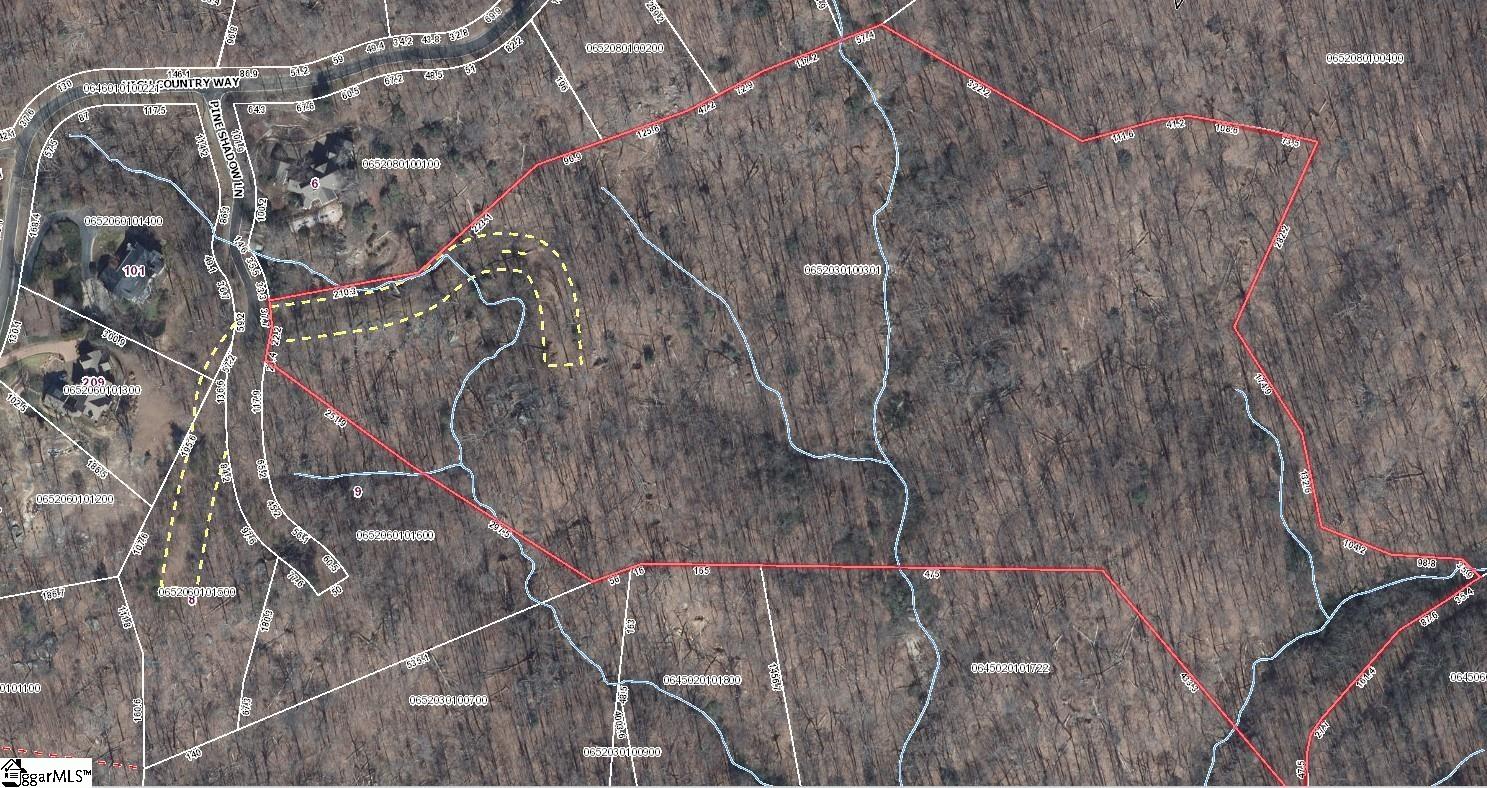 0 Pine Shadow Lane Landrum, SC 29356 - Photo 11 of 11