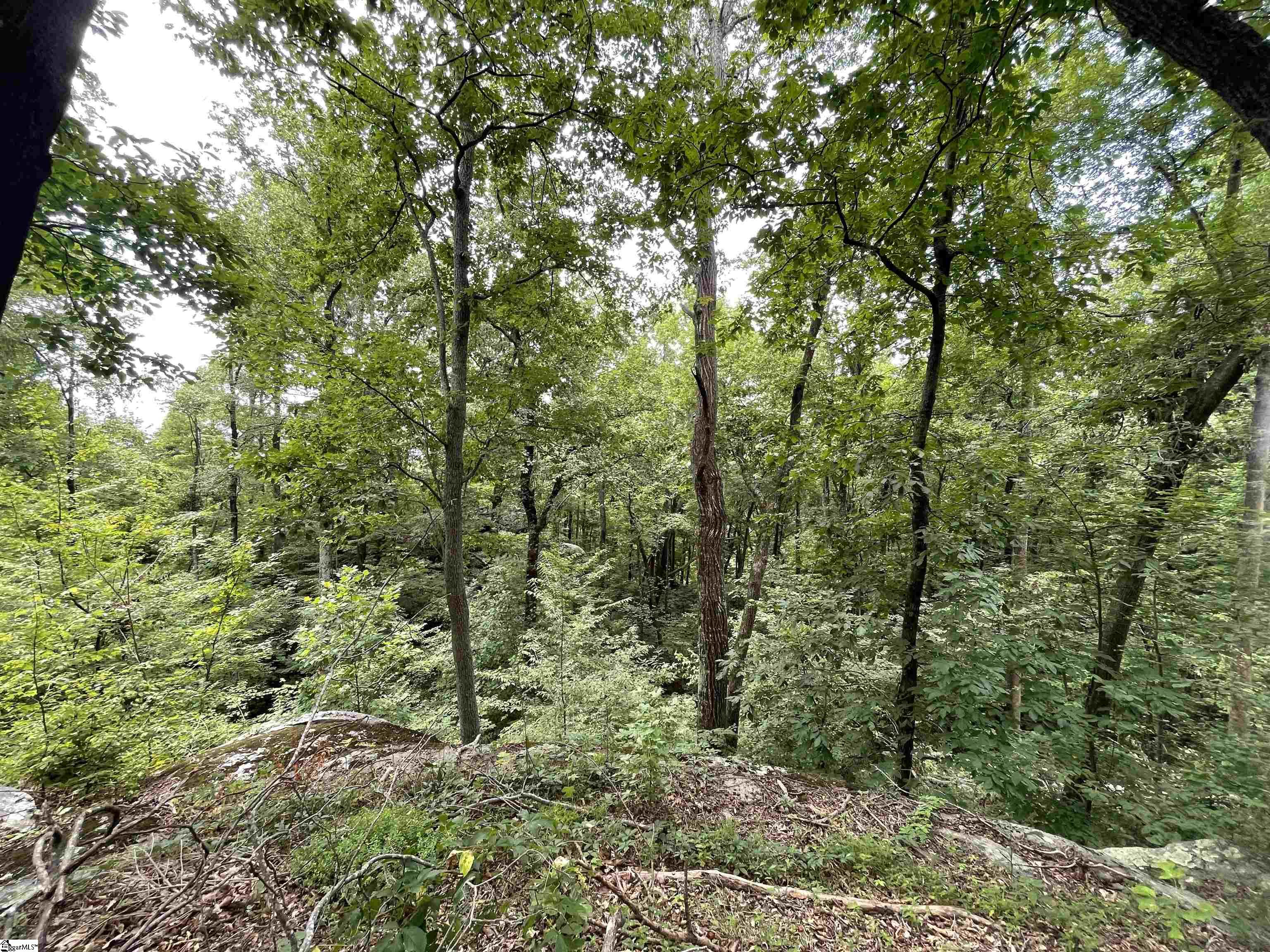 0 Pine Shadow Lane Landrum, SC 29356 - Photo 3 of 11