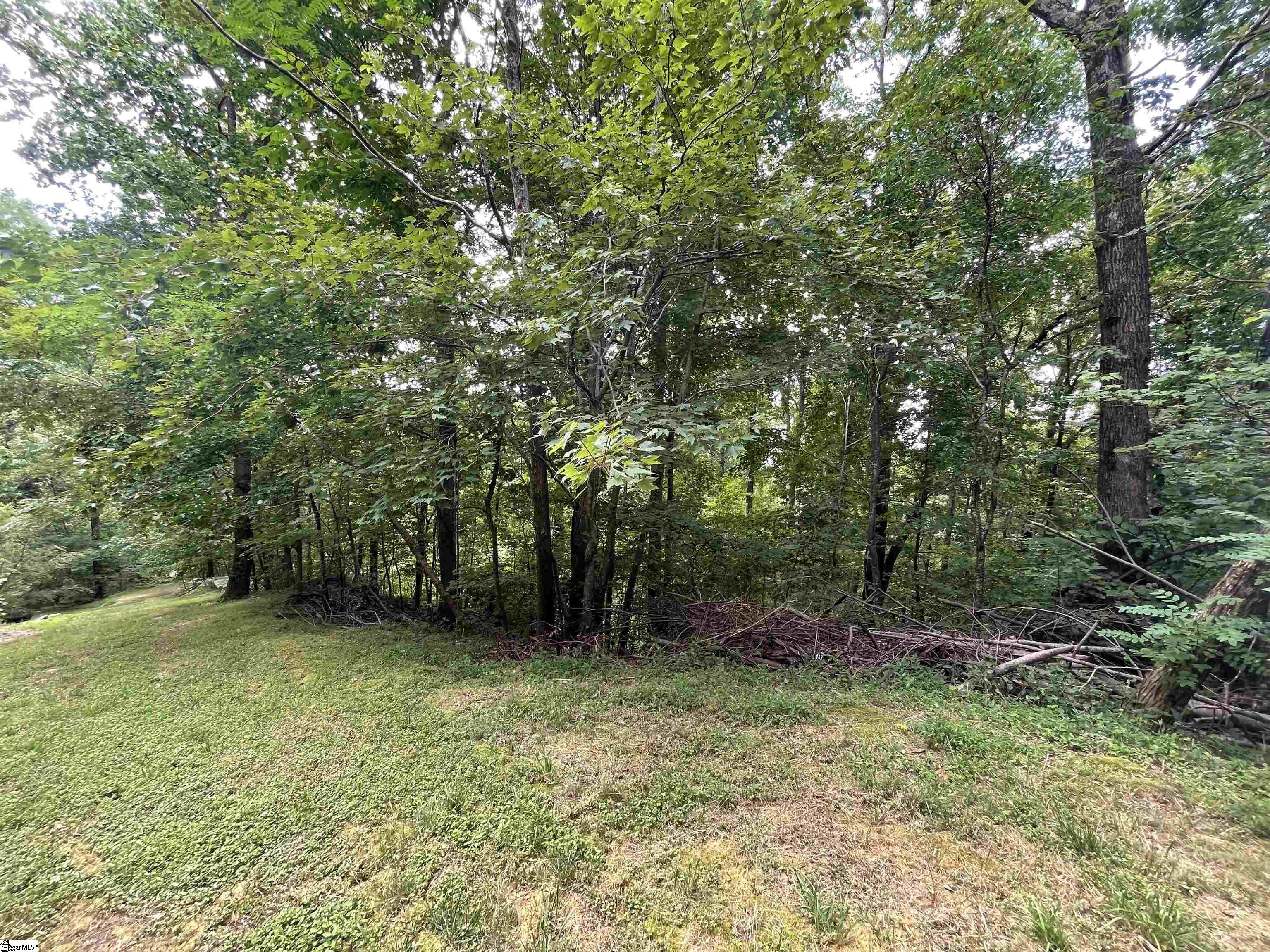 0 Pine Shadow Lane Landrum, SC 29356 - Photo 6 of 11