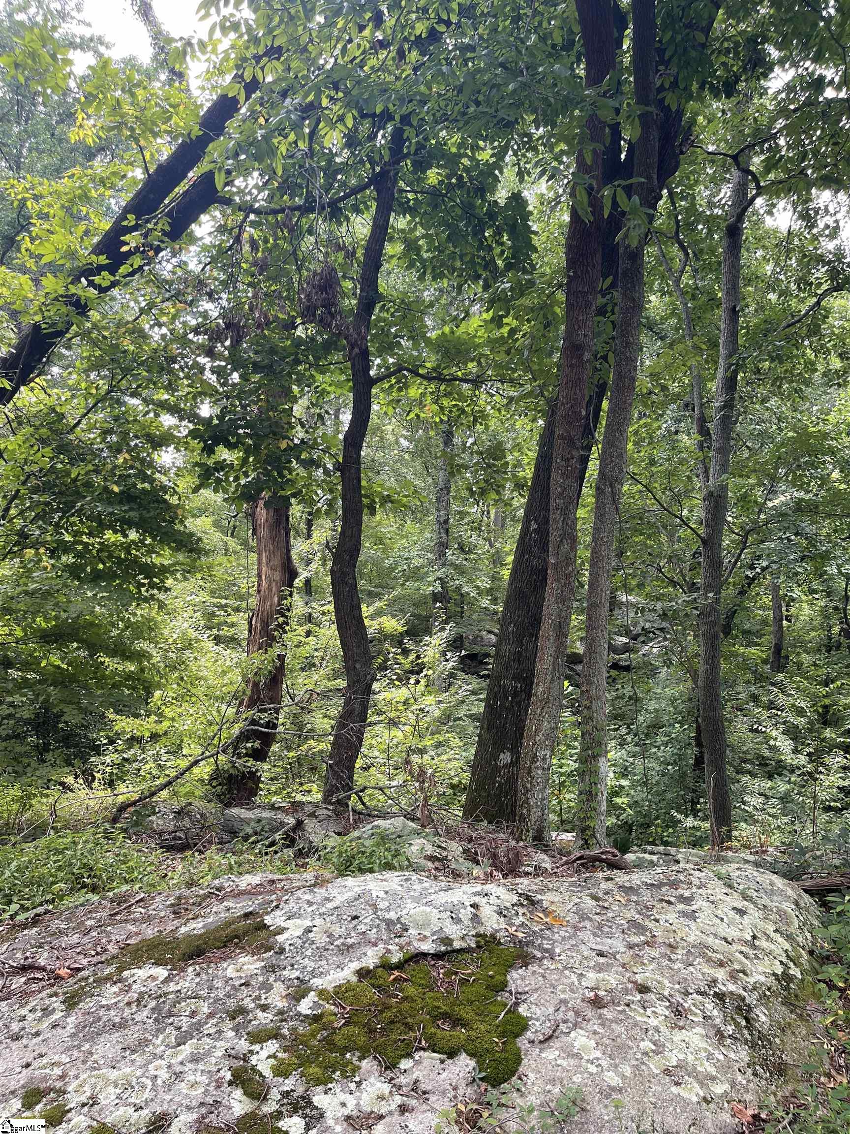 0 Pine Shadow Lane Landrum, SC 29356 - Photo 7 of 11