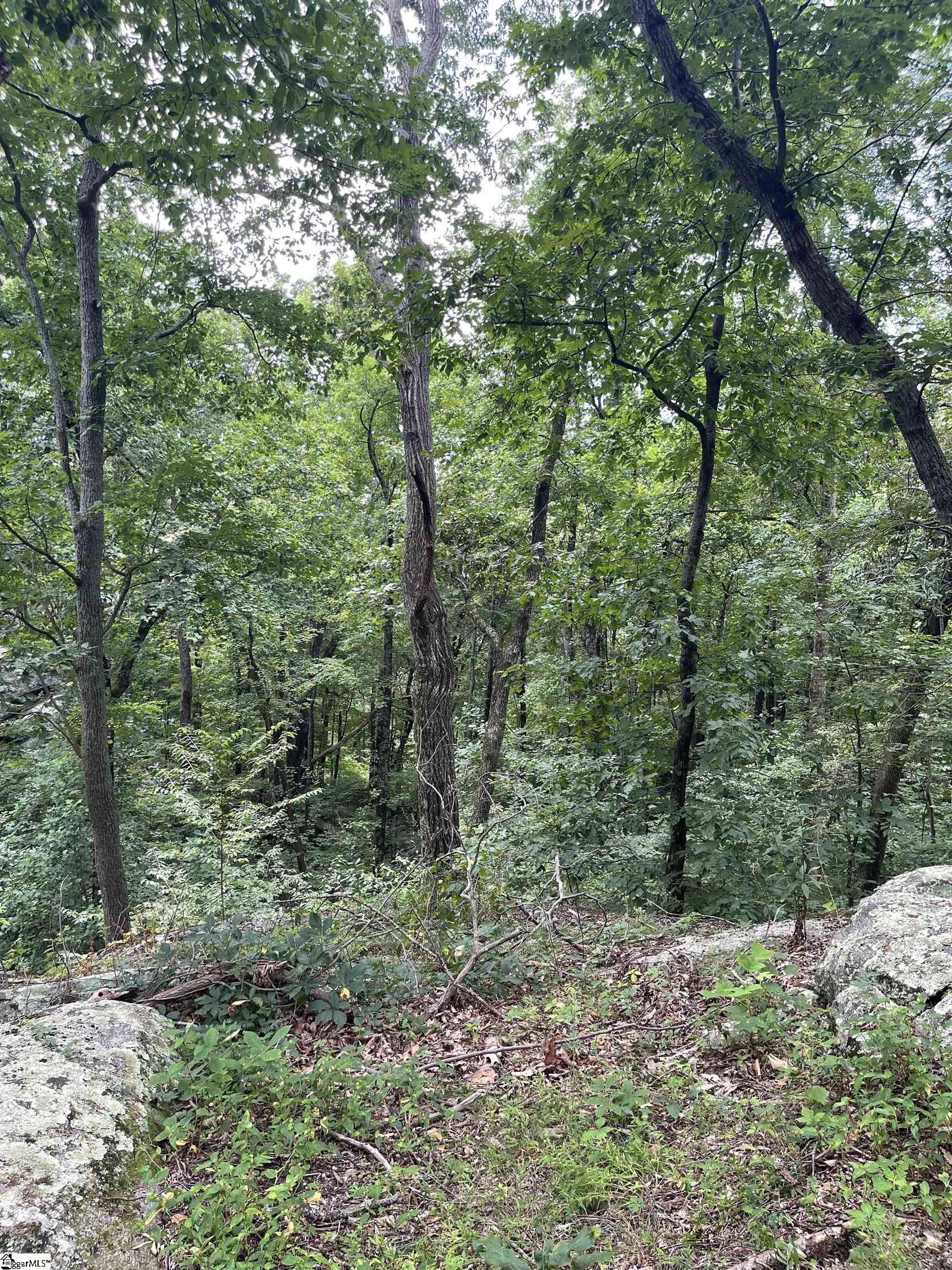 0 Pine Shadow Lane Landrum, SC 29356 - Photo 8 of 11