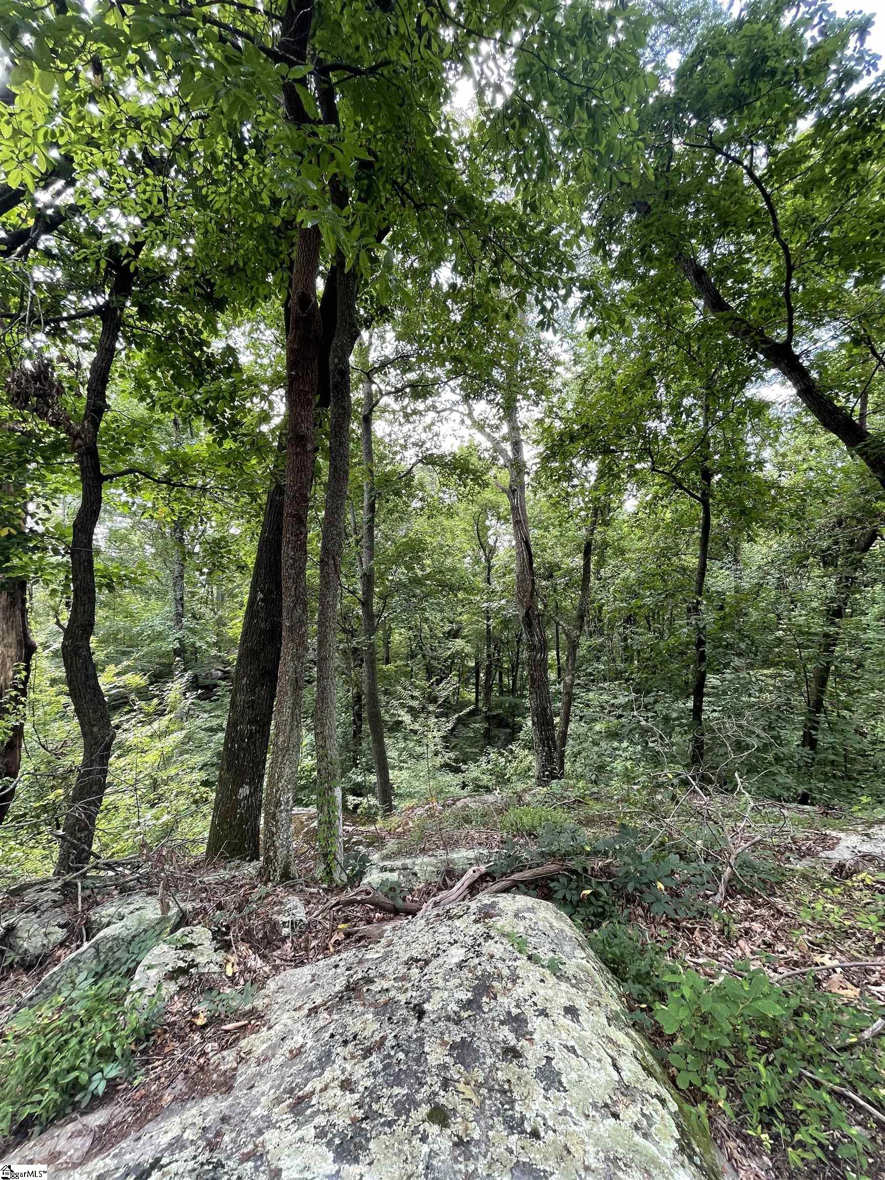 0 Pine Shadow Lane Landrum, SC 29356 - Photo 10 of 11