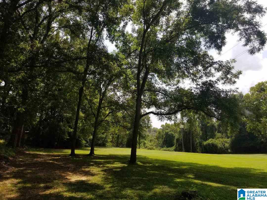 63 Montevallo Road Centreville, AL 35042 - Photo 6 of 34