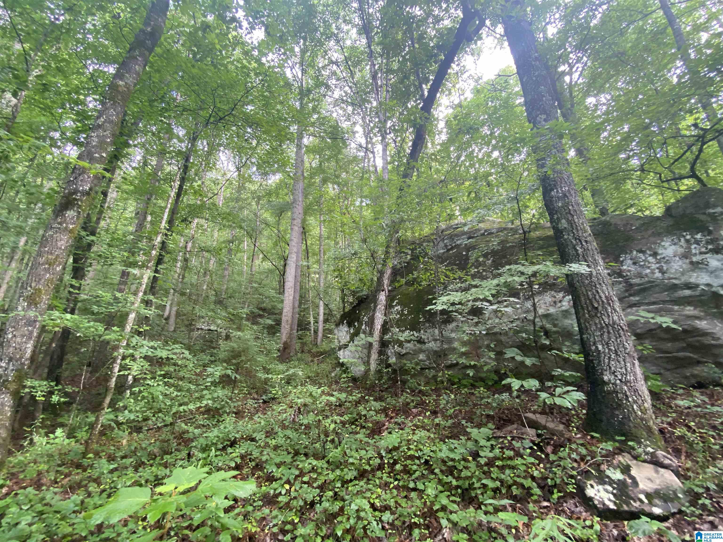 Bull Hollow Road, Unit 60 Odenville, AL 35120 - Photo 18 of 25