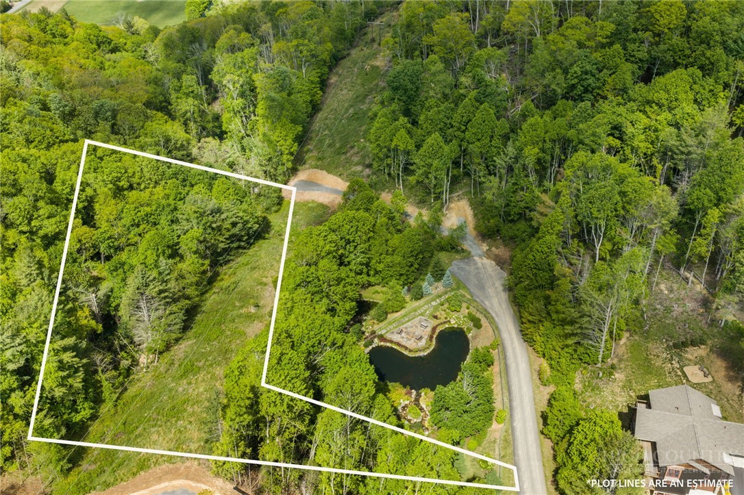 Lot 46 Silver Springs Farm Road Banner Elk, NC 28604 - Photo 2 of 9 Gallery Image 2