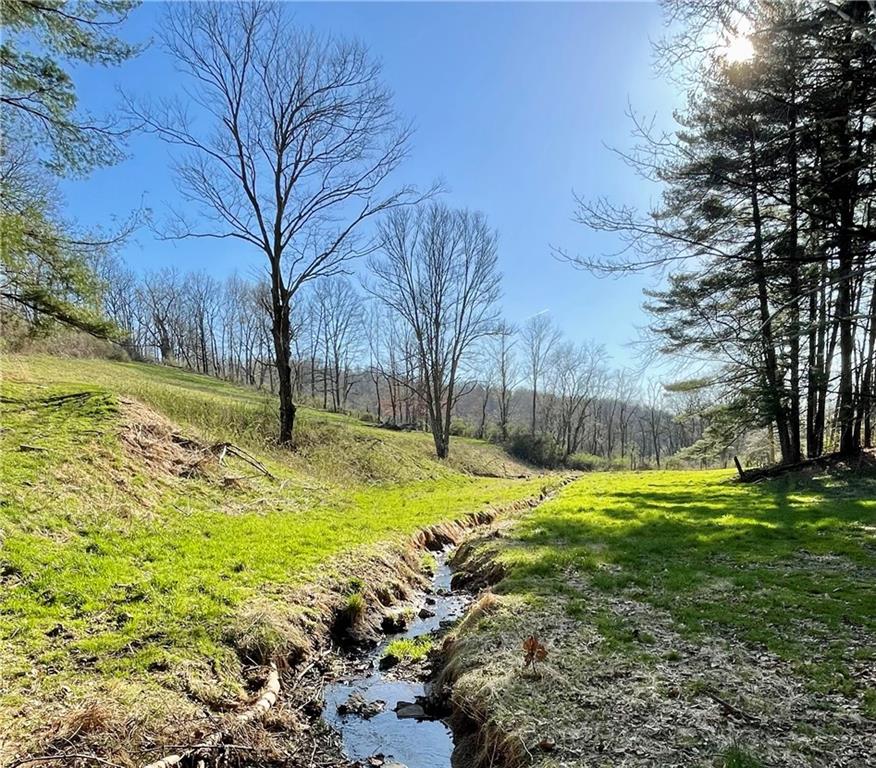 57 Pine Road Claysville, PA 15323 - Photo 15 of 16 a view of yard with tree