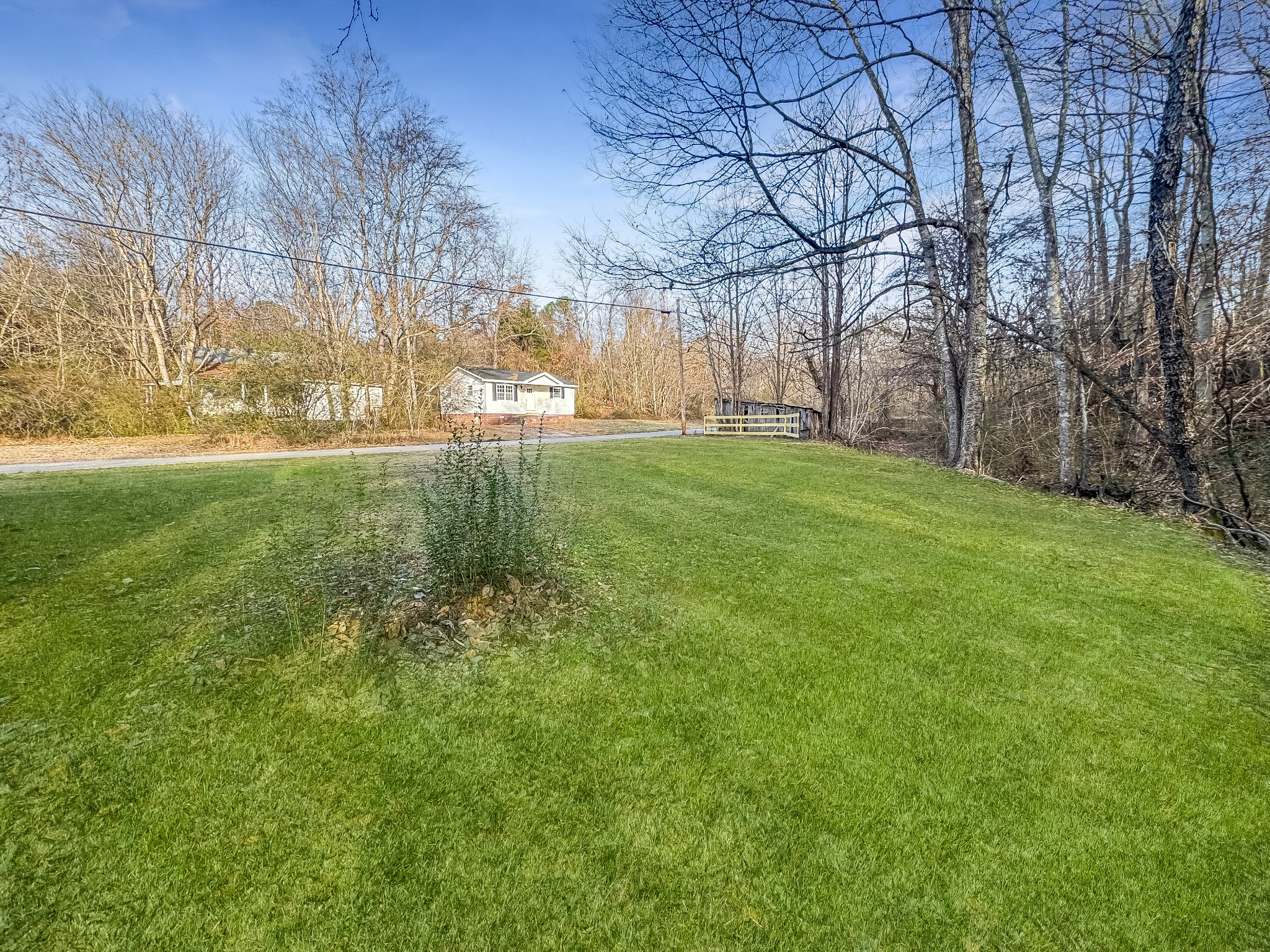 608 Big Rock Road Big Rock, TN 37023 - Photo 13 of 15 a view of yard with tree