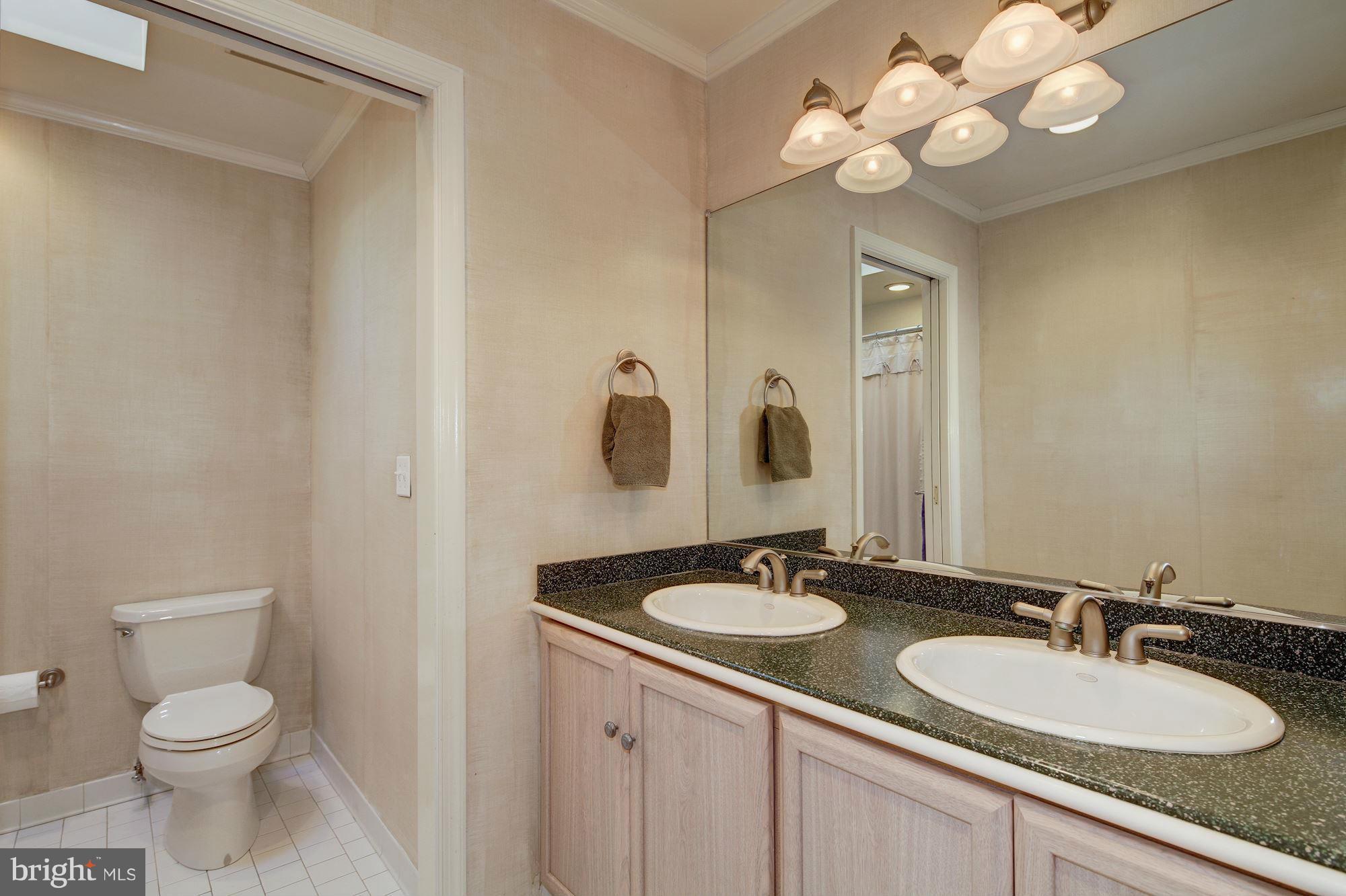 14206 Robcaste Road Phoenix, MD 21131 - Photo 22 of 30 a bathroom with a sink a toilet and a mirror