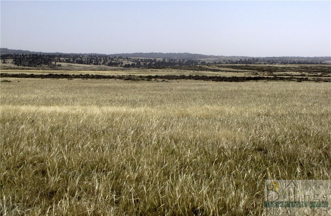 Nhn Lindstrom Road Shepherd, MT 59079 - Photo 25 of 36 Gallery Image 25