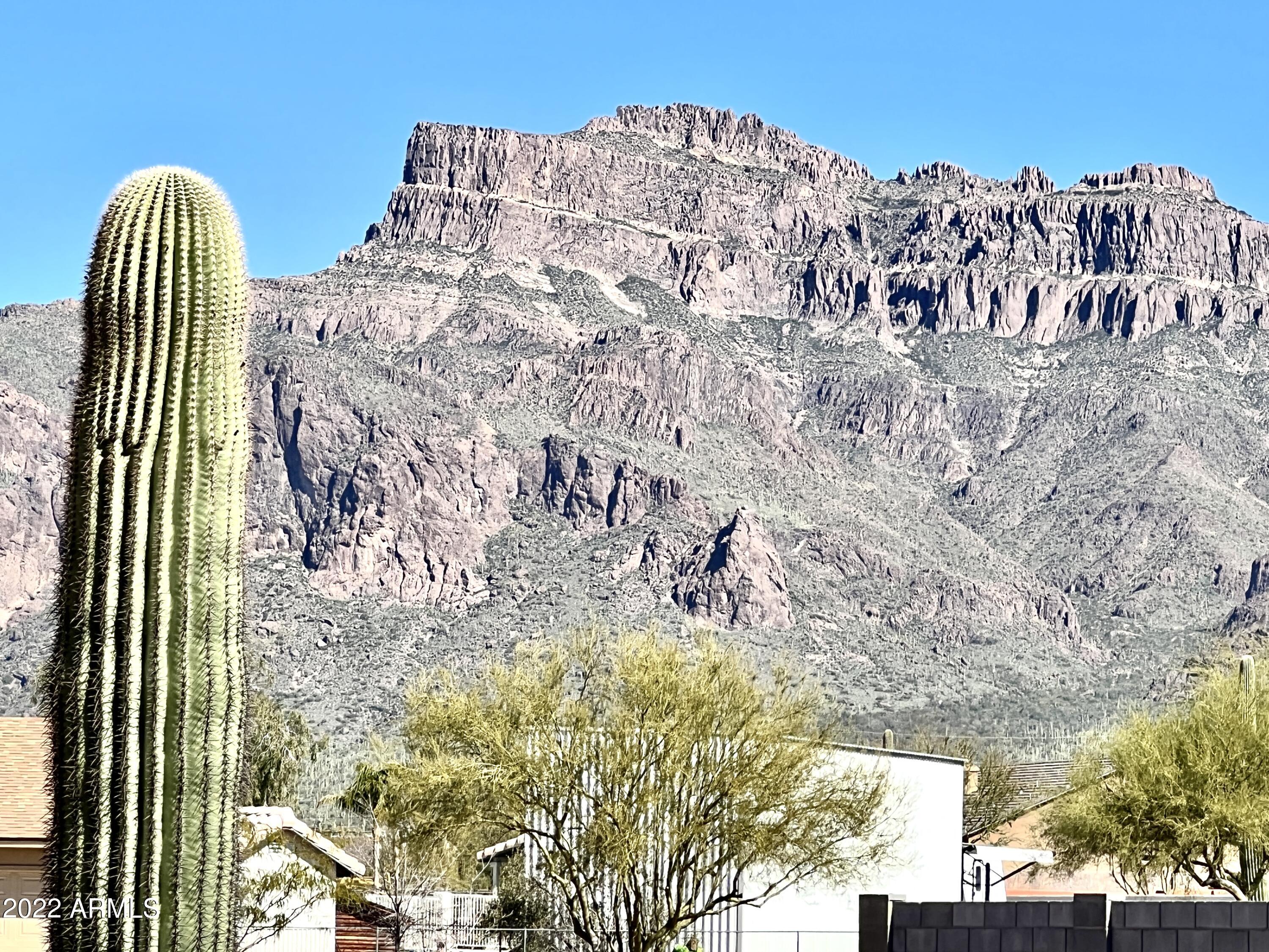 2139 South Sixshooter Road Apache Junction, AZ 85119 - Photo 12 of 20 IMG_0066