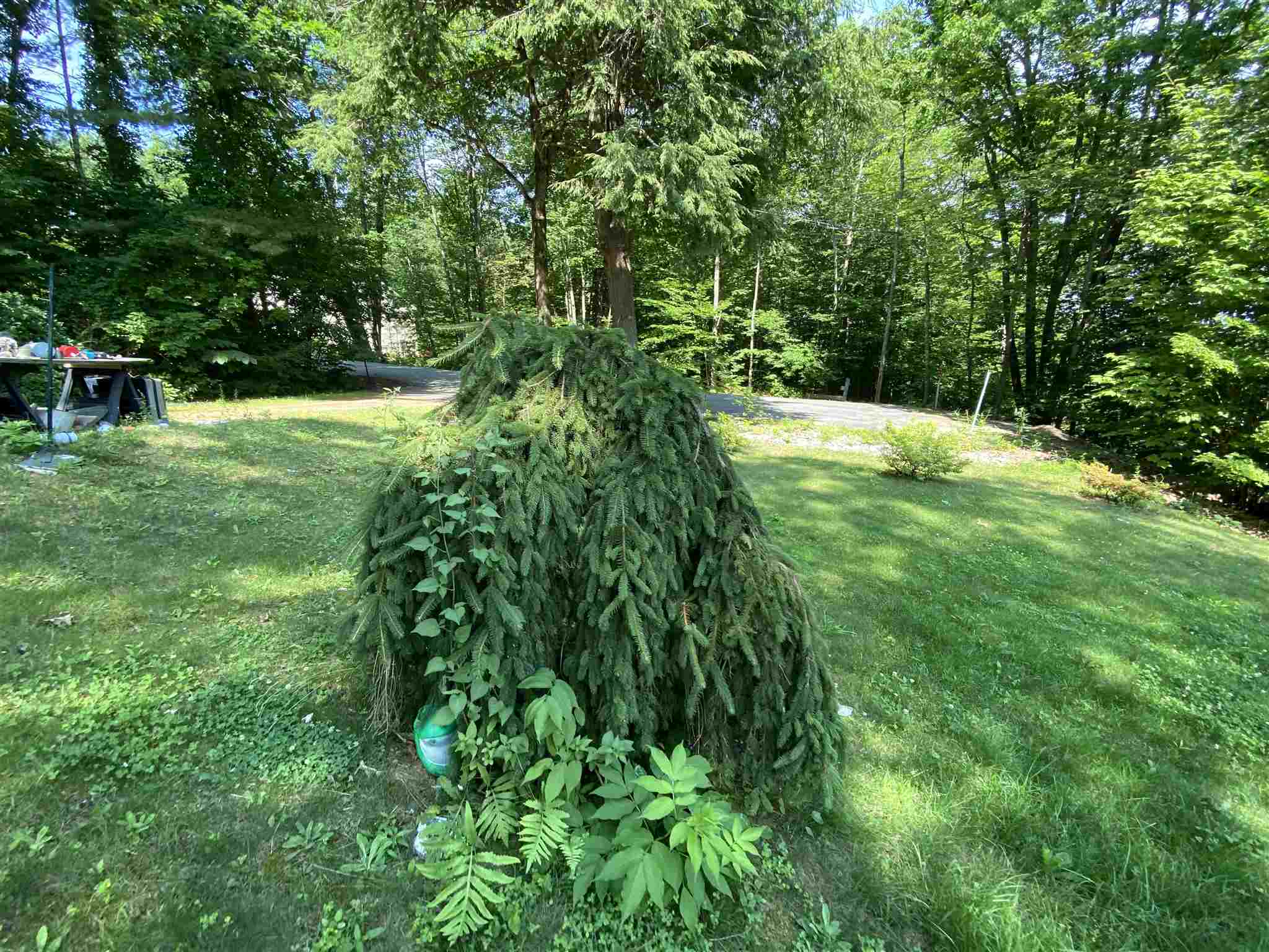 23 Sunset Hill Road Meredith, NH 03253 - Photo 38 of 39