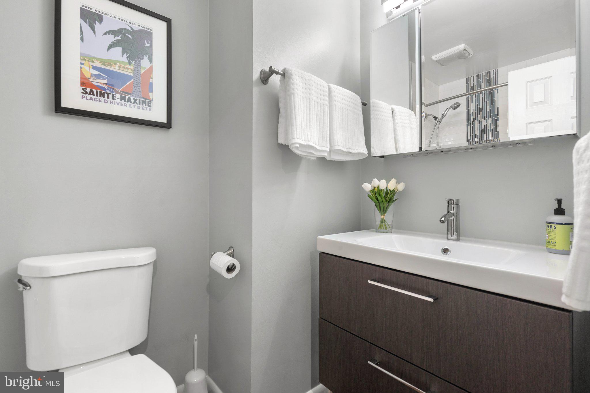 6437 Rockshire Street Alexandria, VA 22315 - Photo 24 of 43 Fully renovated hall bath
