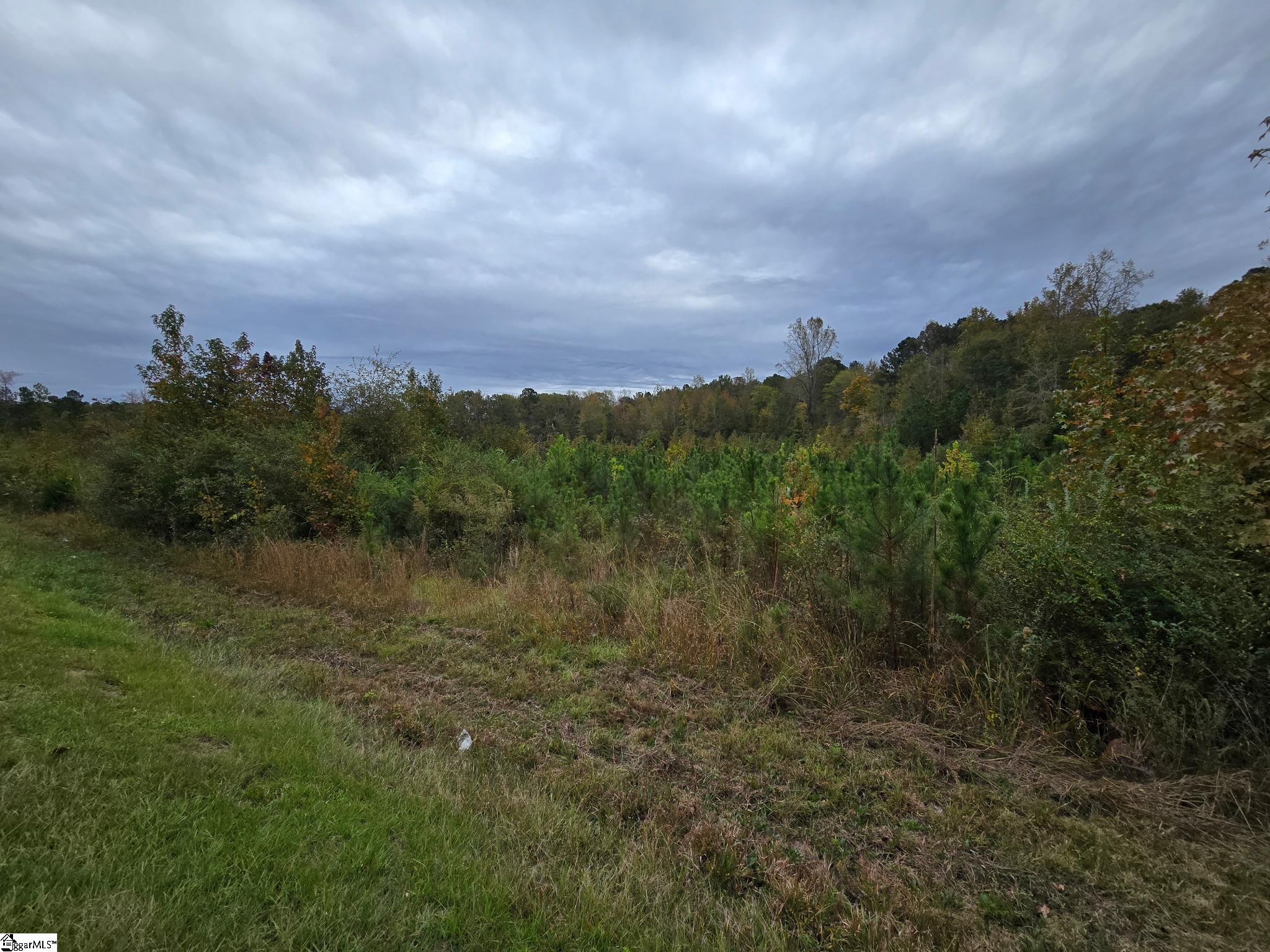 0 East E Highway McCormick, SC 29835 - Photo 3 of 4