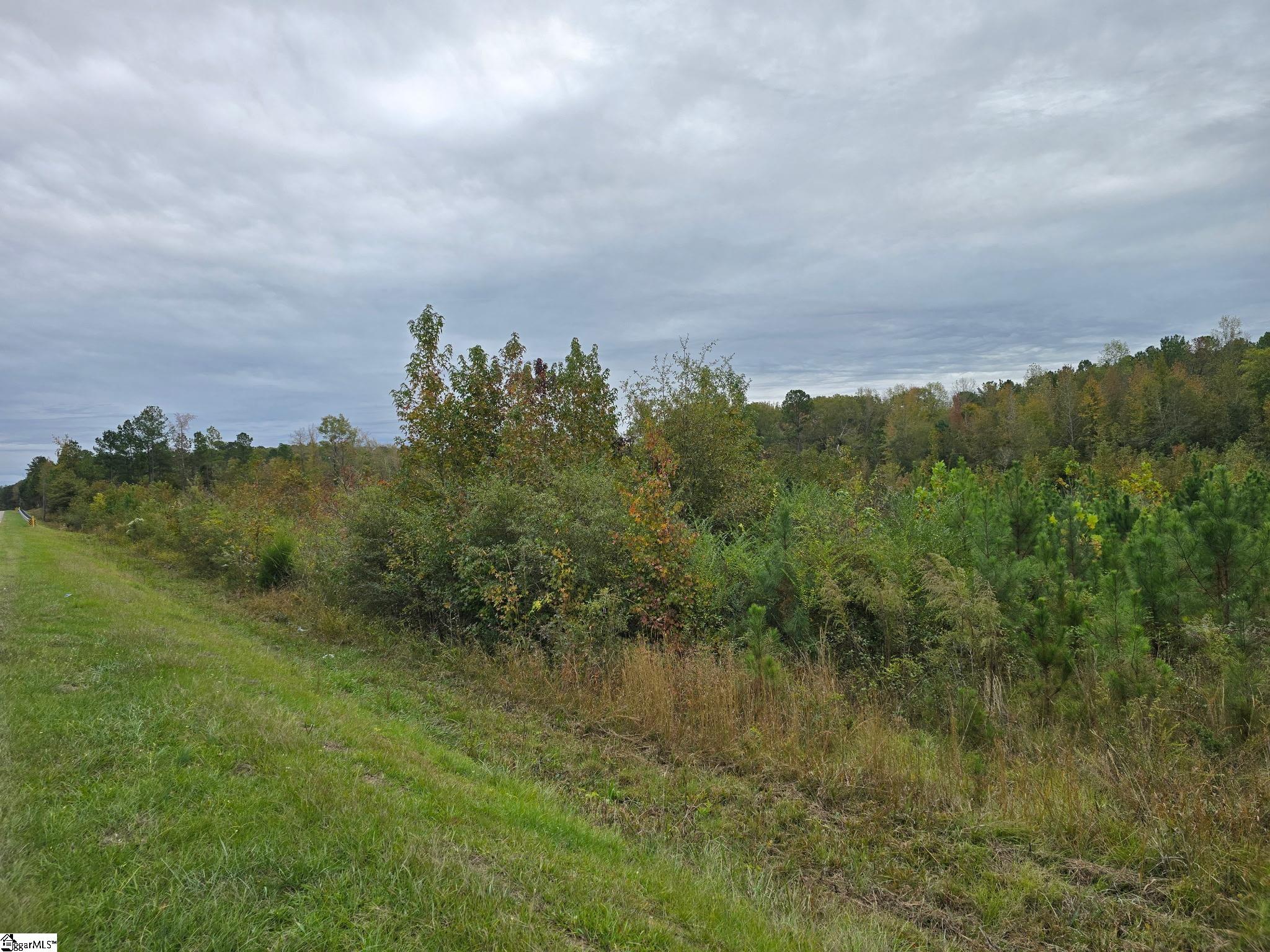 0 East E Highway McCormick, SC 29835 - Photo 4 of 4