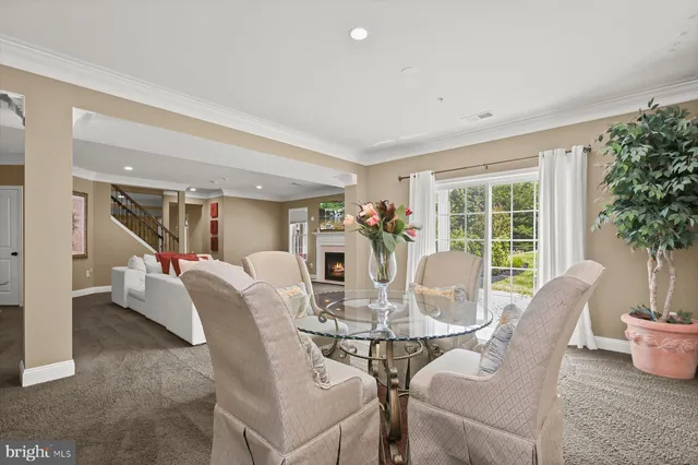 a view of a park with large trees