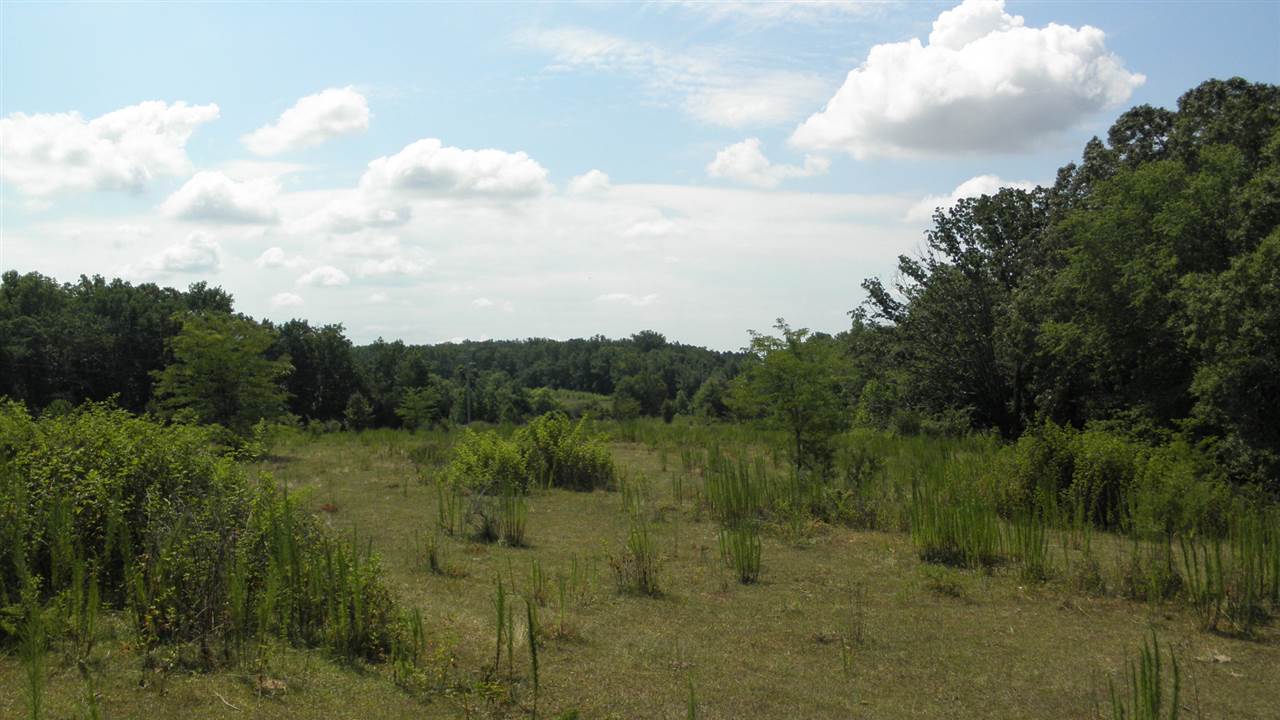 60.25-acres Marett Road Pendleton, SC 29670 - Photo 12 of 12