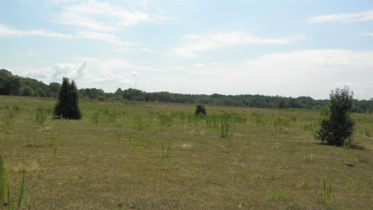 60.25-acres Marett Road Pendleton, SC 29670 - Photo 6 of 12