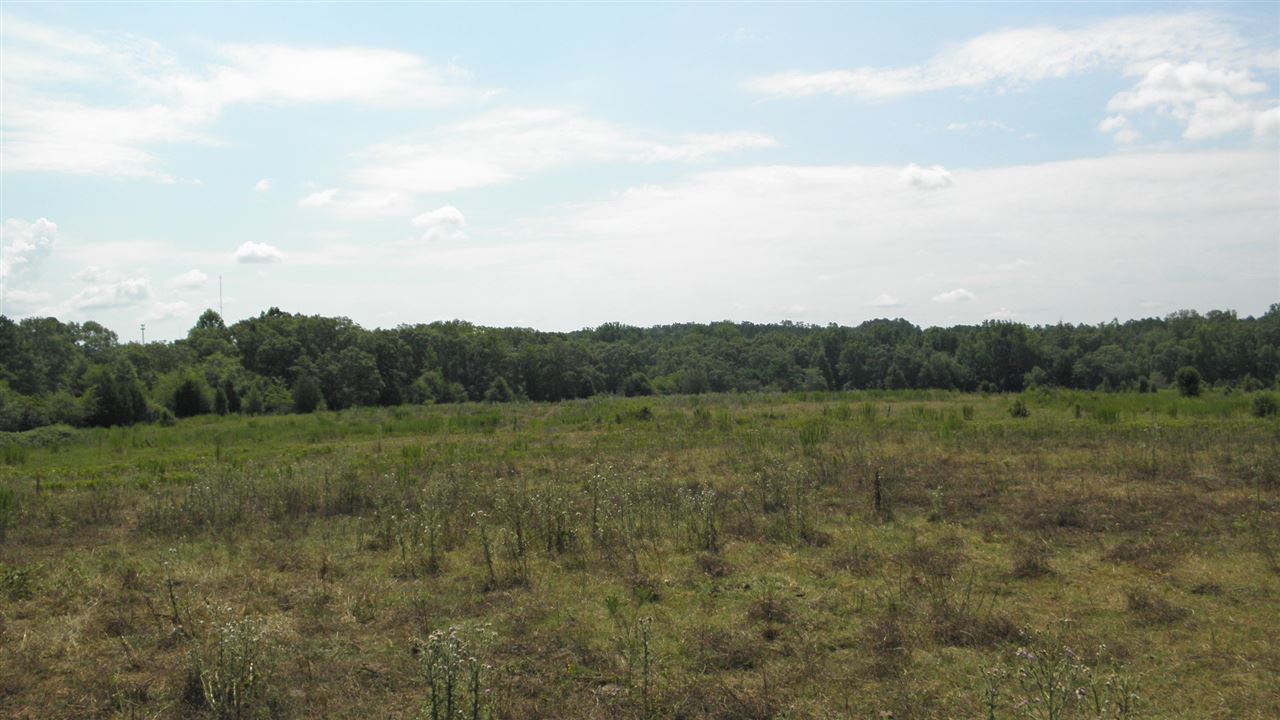 60.25-acres Marett Road Pendleton, SC 29670 - Photo 7 of 12
