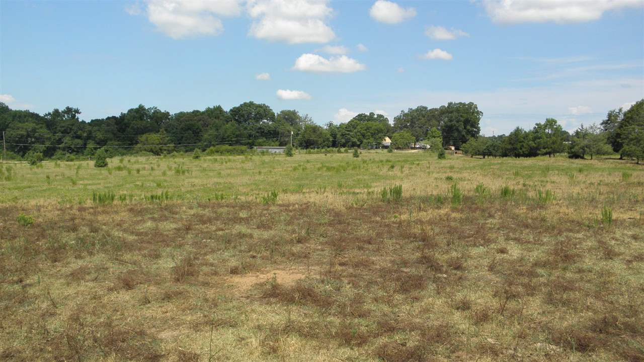 60.25-acres Marett Road Pendleton, SC 29670 - Photo 8 of 12