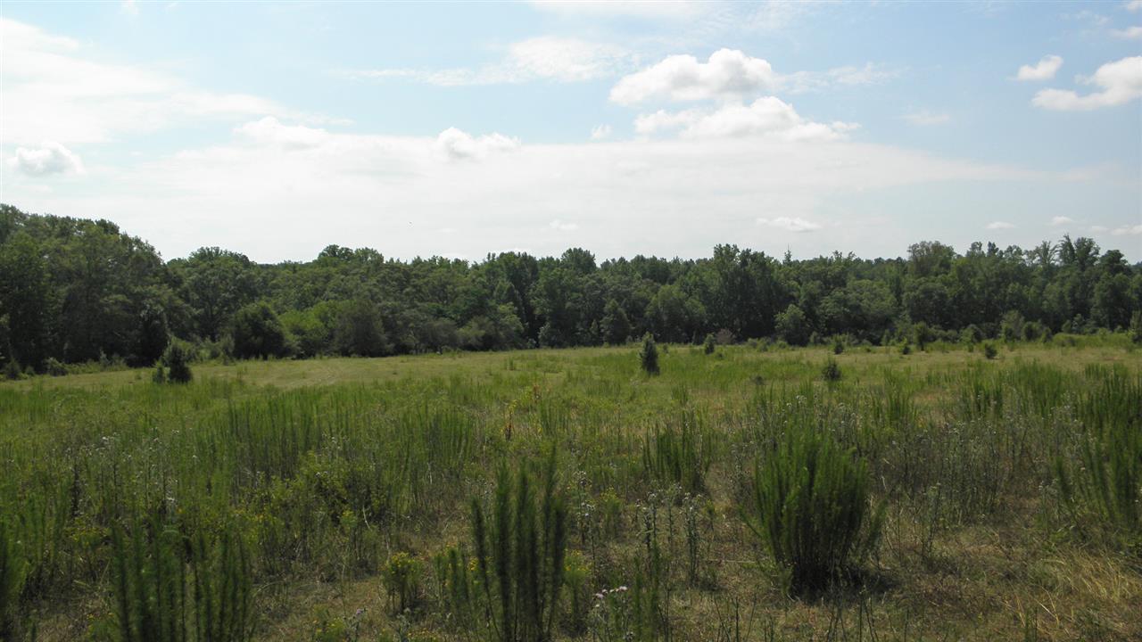 60.25-acres Marett Road Pendleton, SC 29670 - Photo 9 of 12