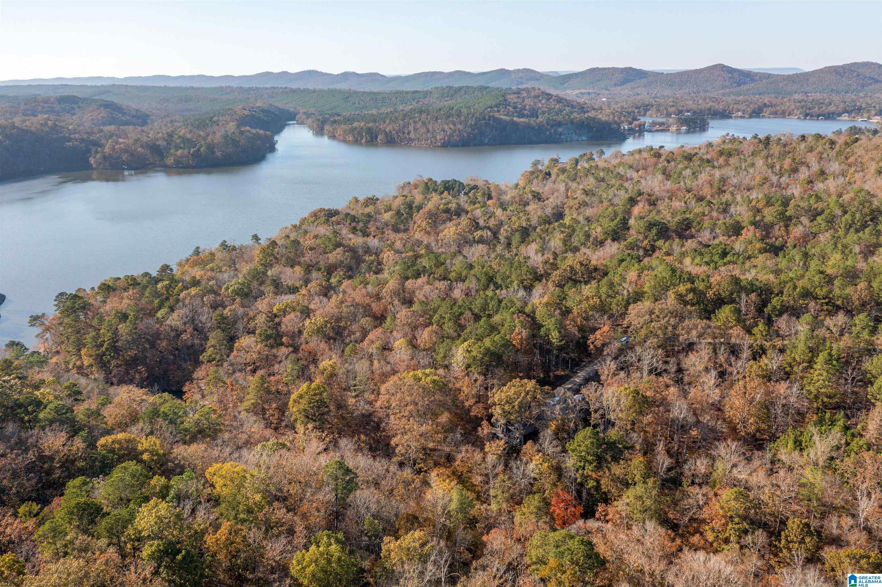 1595 Mohawk Cliff Road Ohatchee, AL 36271 - Photo 54 of 65