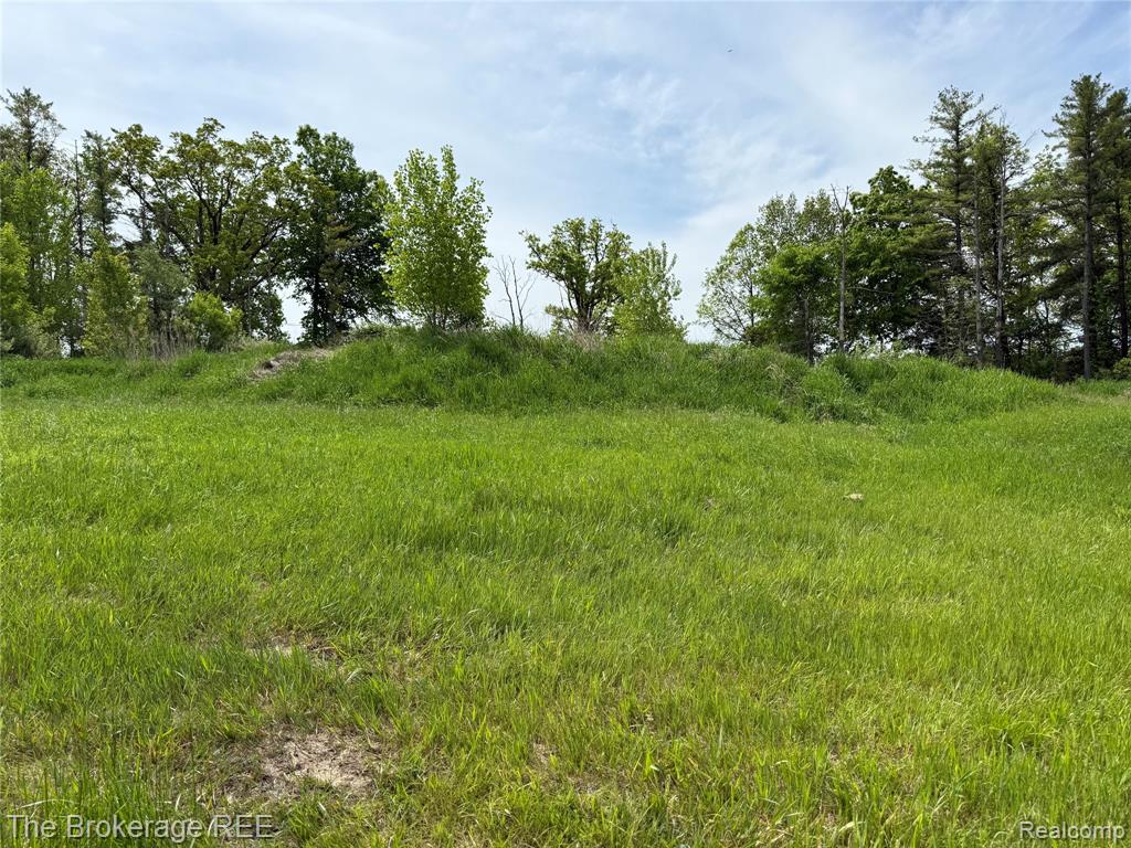 3020 Merwin Road Lapeer, MI 48446 - Photo 19 of 33