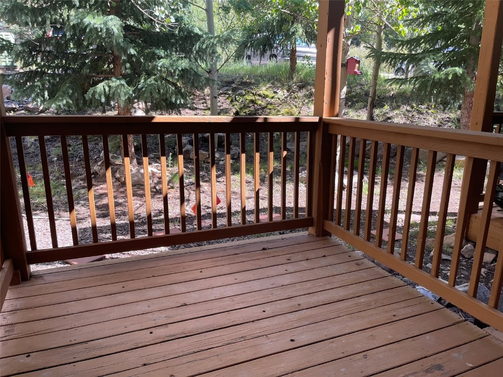 302 Illinois Gulch Road, Unit 102 Breckenridge, CO 80424 - Photo 11 of 14