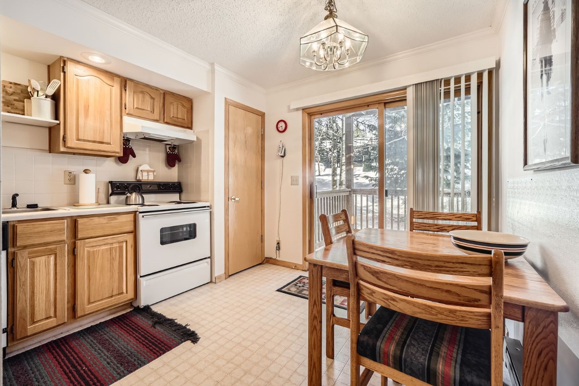 302 Illinois Gulch Road, Unit 102 Breckenridge, CO 80424 - Photo 2 of 14