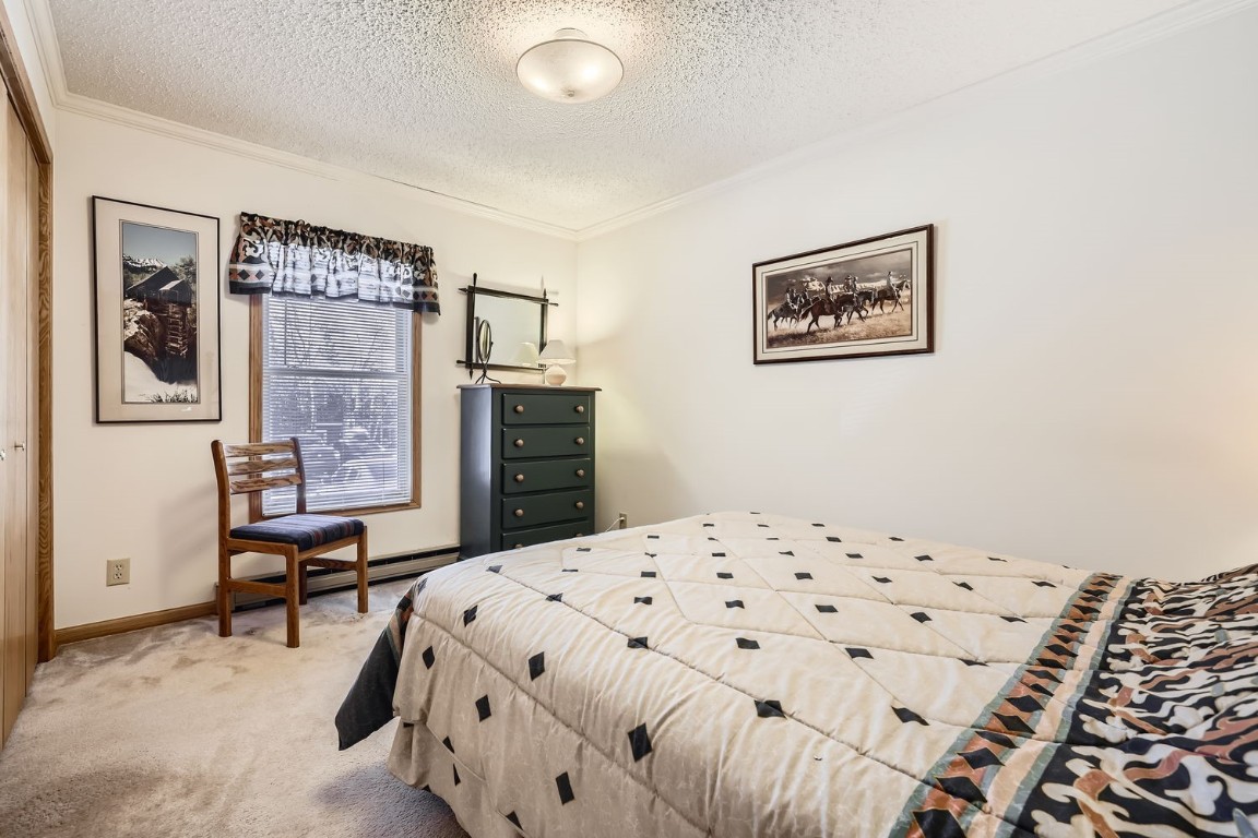 302 Illinois Gulch Road, Unit 102 Breckenridge, CO 80424 - Photo 5 of 14