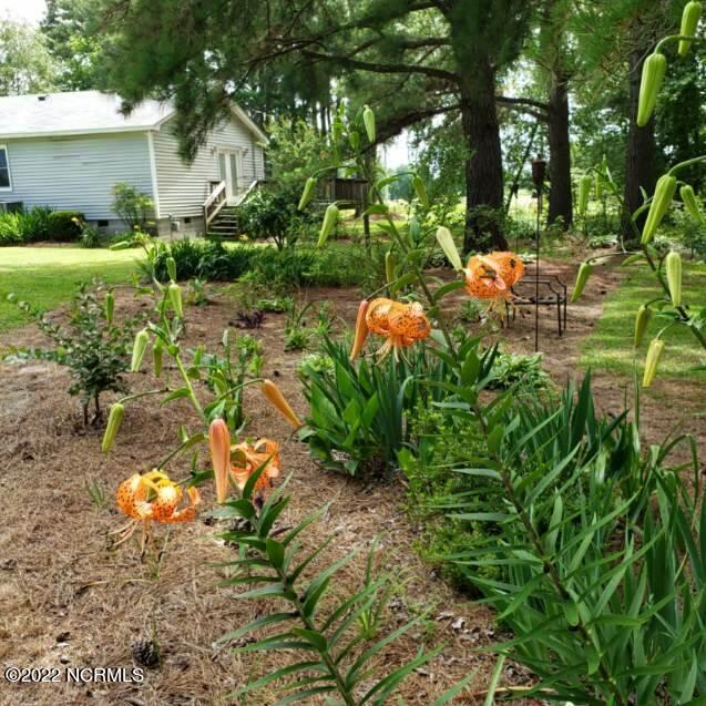 4453 Tartt's Mill Road Wilson, NC 27893 - Photo 16 of 42 IMG_4204