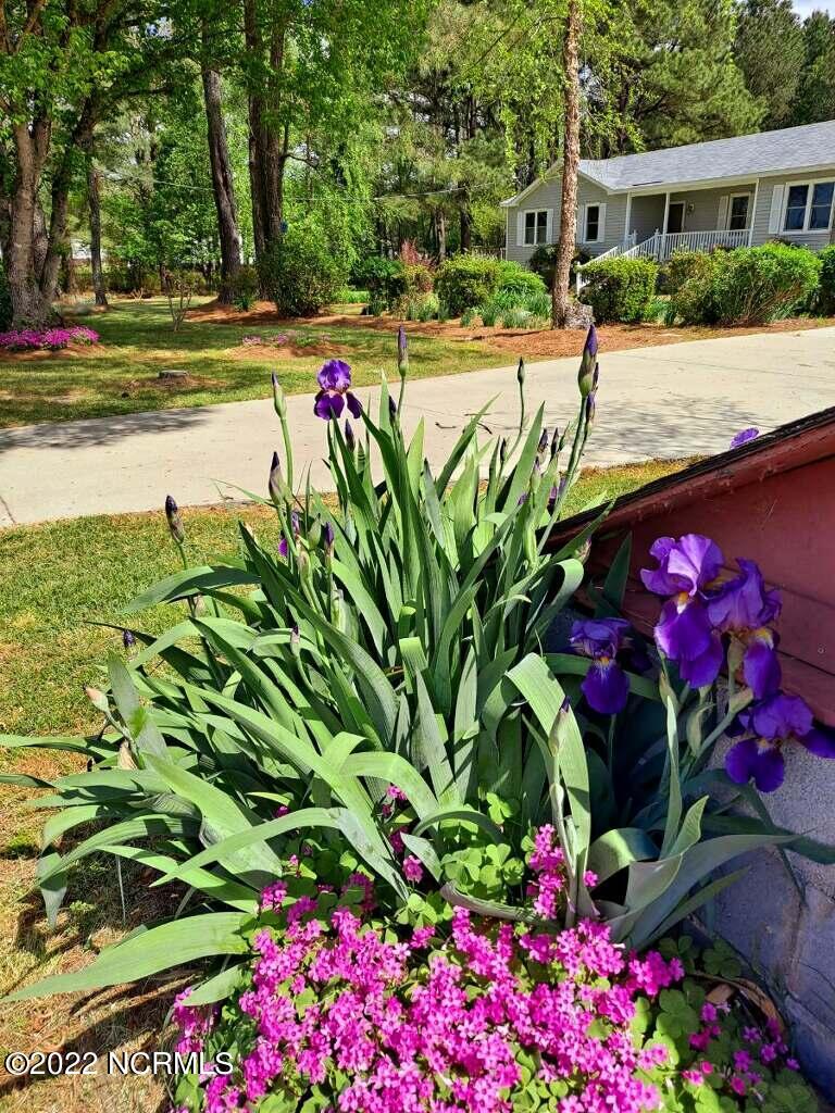 4453 Tartt's Mill Road Wilson, NC 27893 - Photo 19 of 42 IMG_4208
