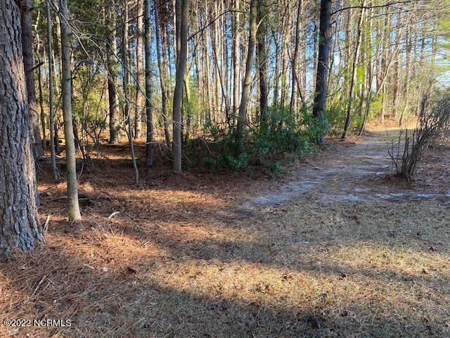 4453 Tartt's Mill Road Wilson, NC 27893 - Photo 8 of 42 IMG_3853