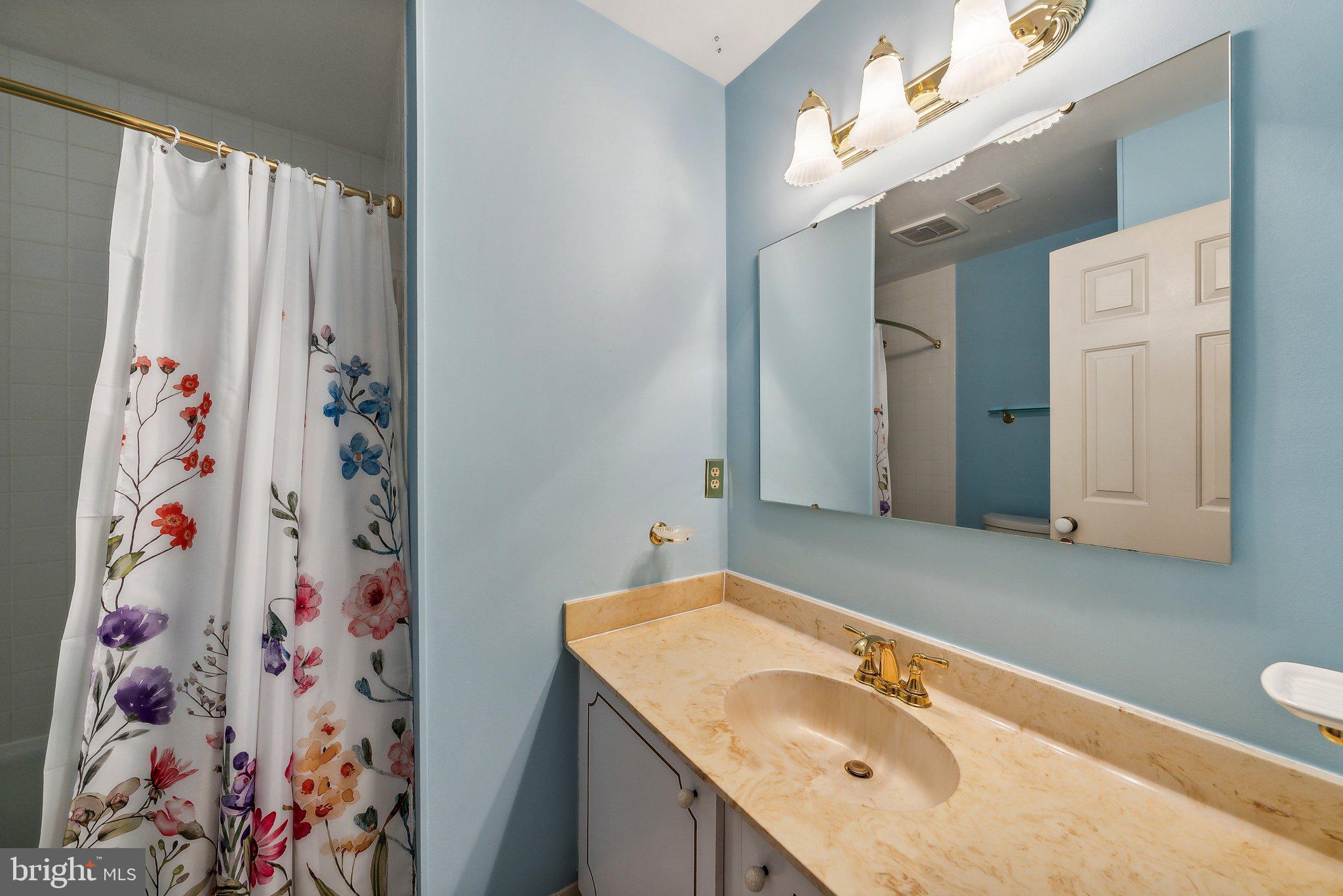 7801 Lowmoor Court Springfield, VA 22153 - Photo 33 of 41 Hall bath