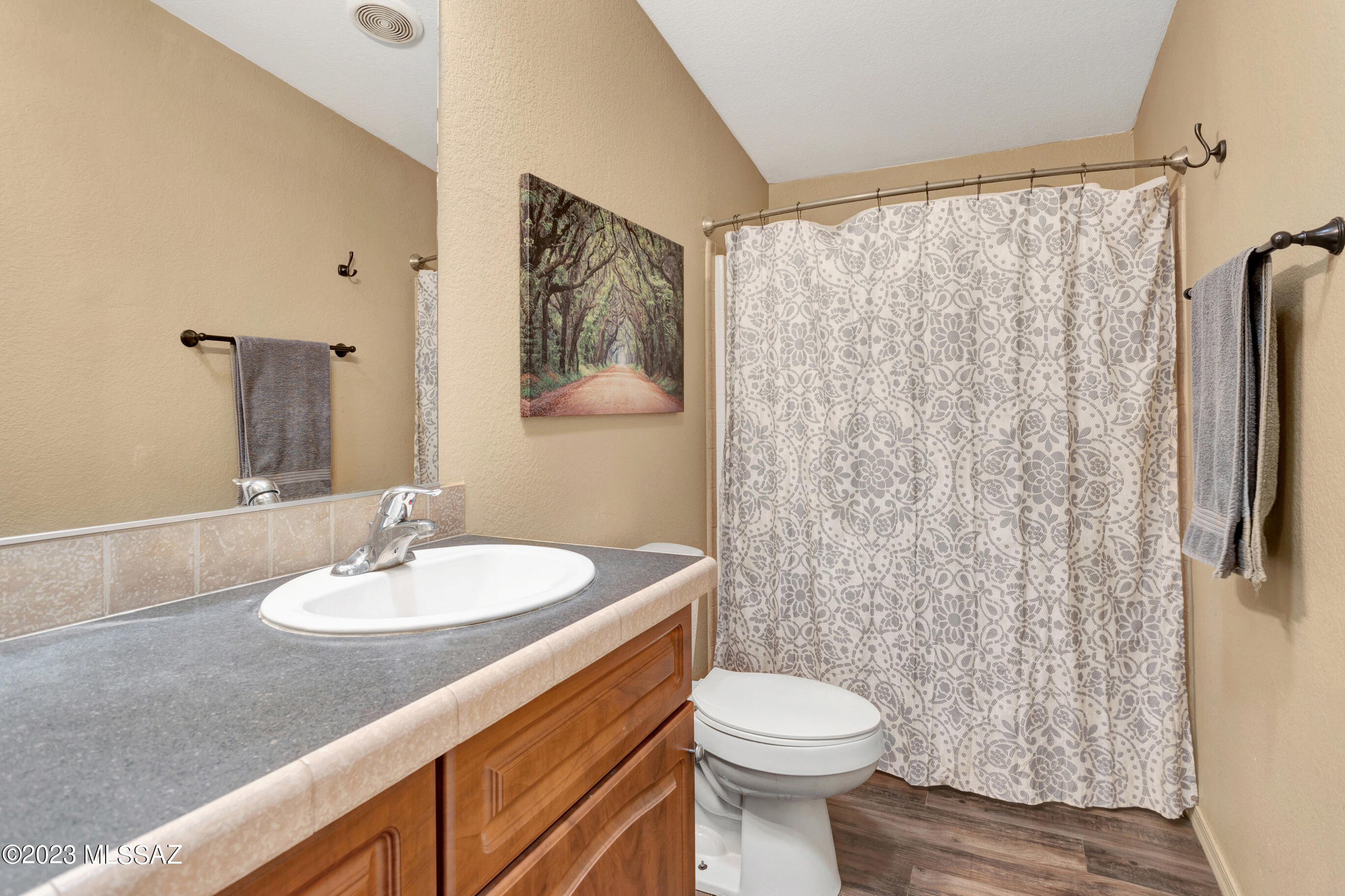 12501 West Picture Rocks Road Tucson, AZ 85743 - Photo 7 of 27 Gallery Image 7