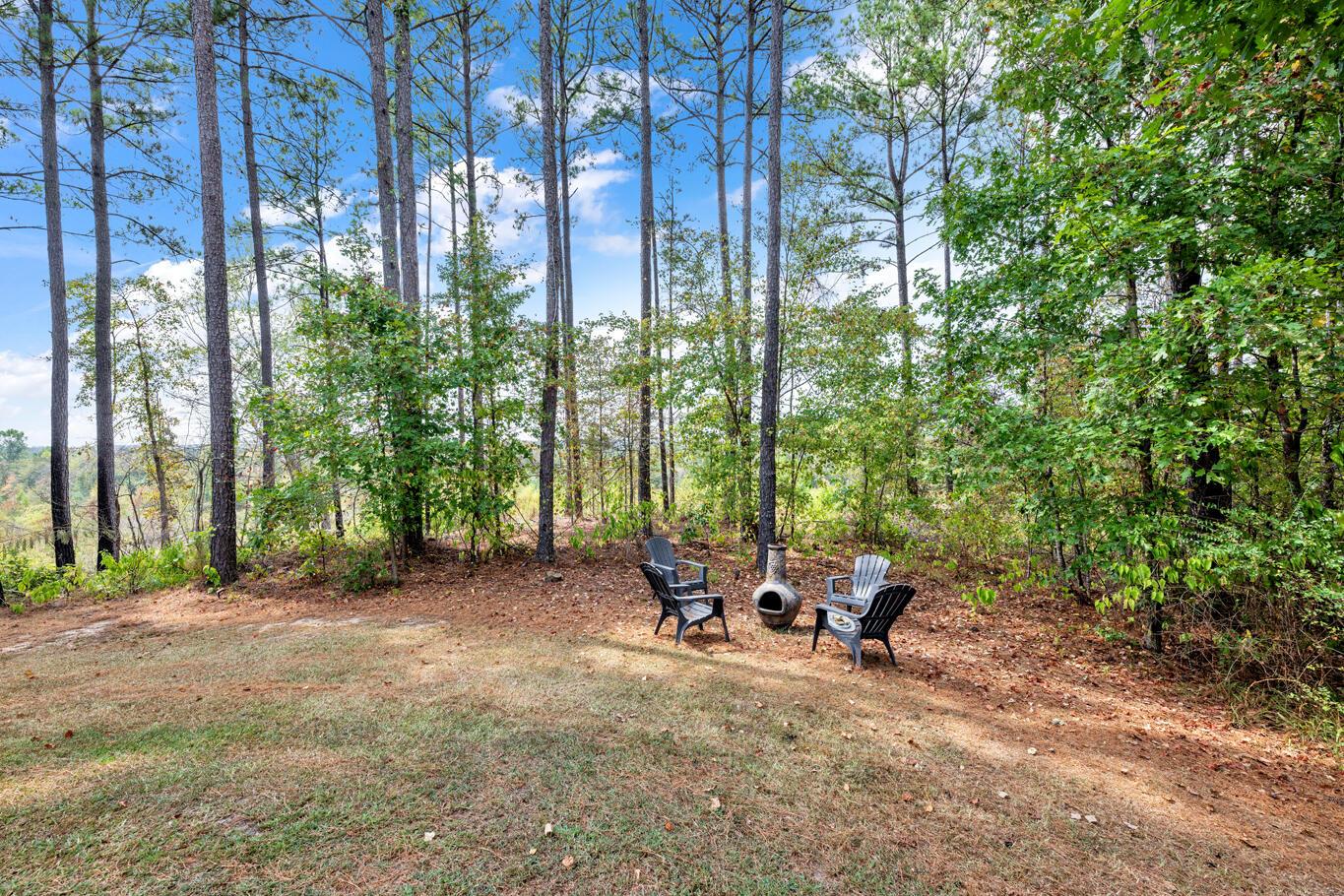 3193 Holly Grove Road Jasper, AL 35501 - Photo 22 of 31 _NIK9295 - Copy