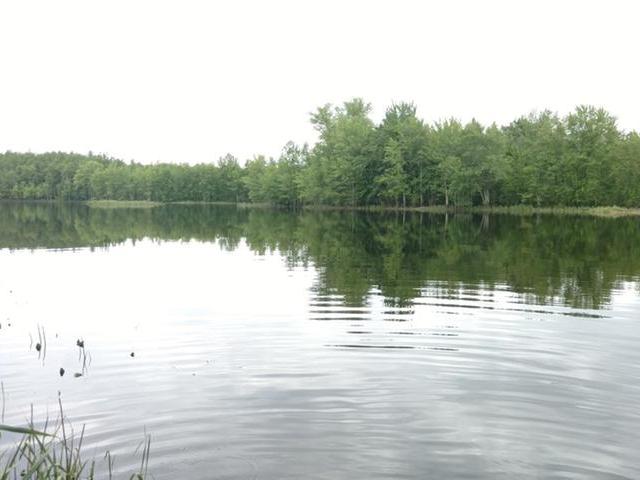 W8606 South Grassy Lake Road Phillips, WI 54555 - Photo 2 of 4 Gallery Image 2
