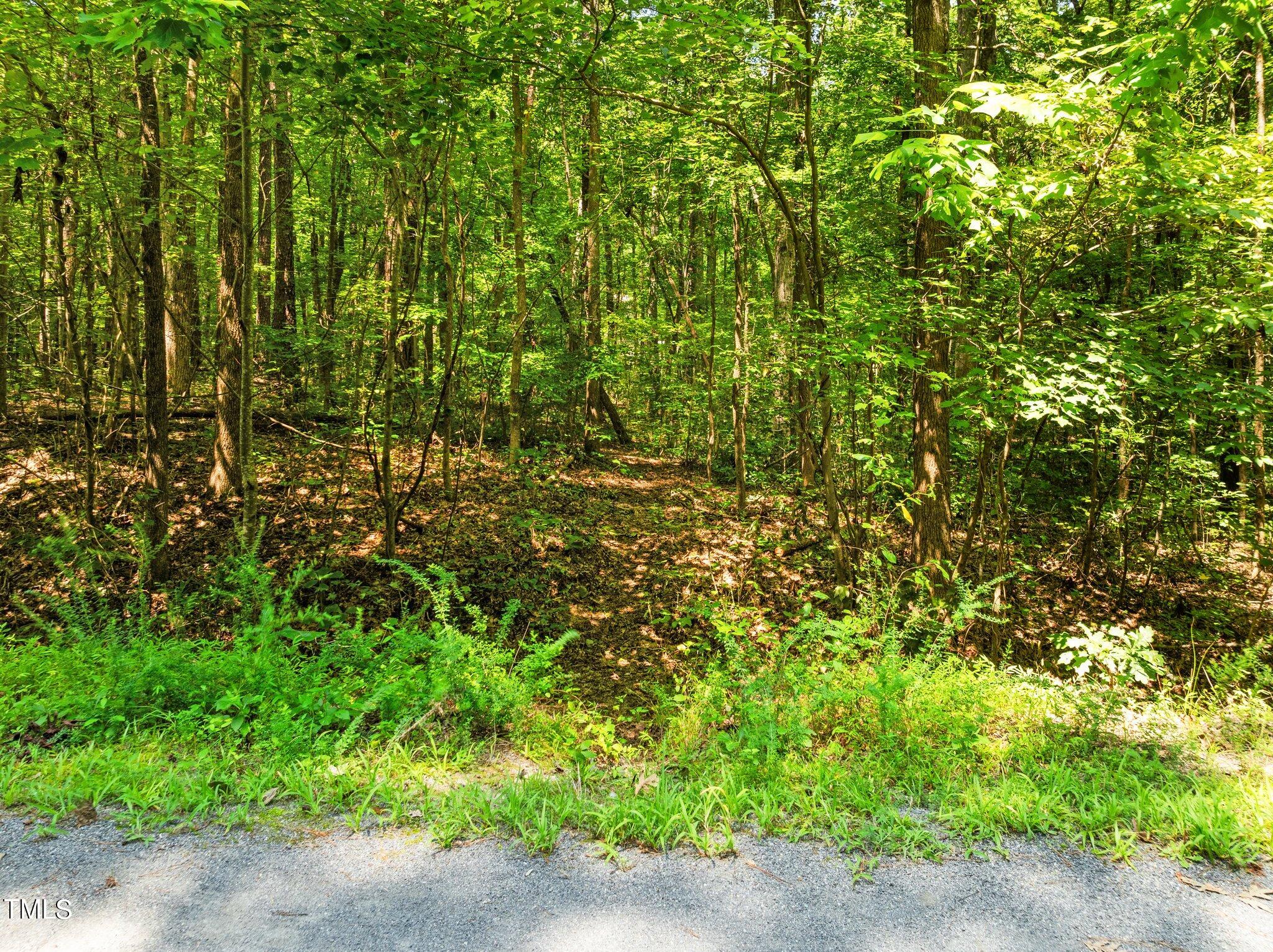 1421 Flying Hawk Road Apex, NC 27523 - Photo 65 of 77 65-web-or-mls-DJI_0279