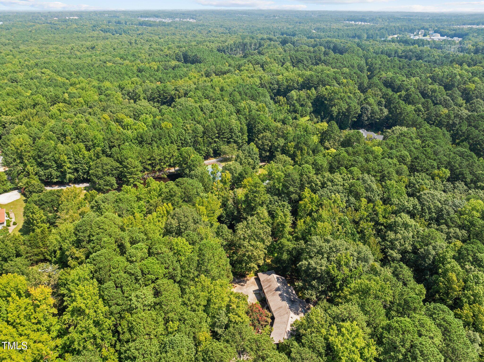 1421 Flying Hawk Road Apex, NC 27523 - Photo 67 of 77 53-web-or-mls-DJI_0239