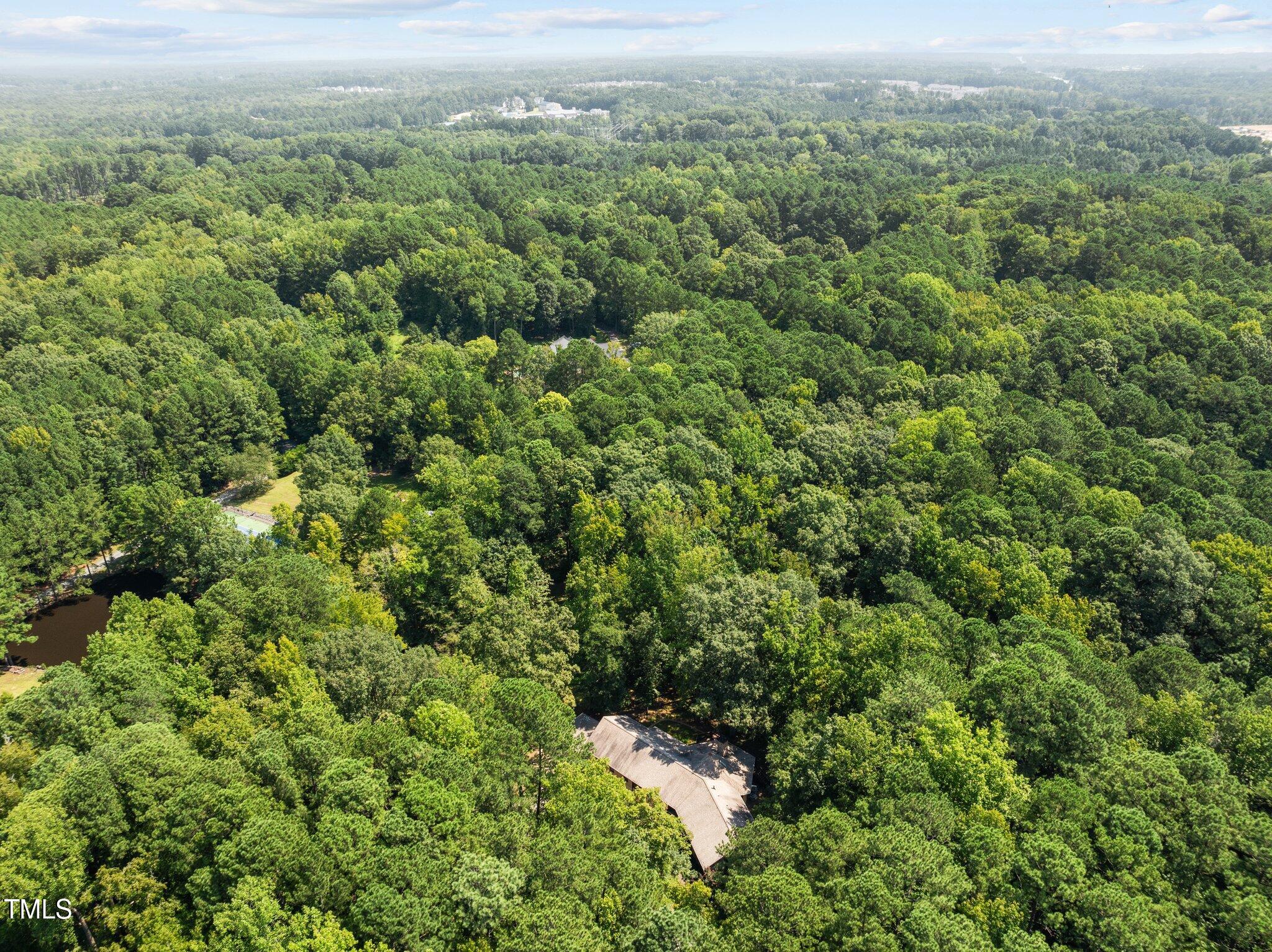 1421 Flying Hawk Road Apex, NC 27523 - Photo 69 of 77 52-web-or-mls-DJI_0238