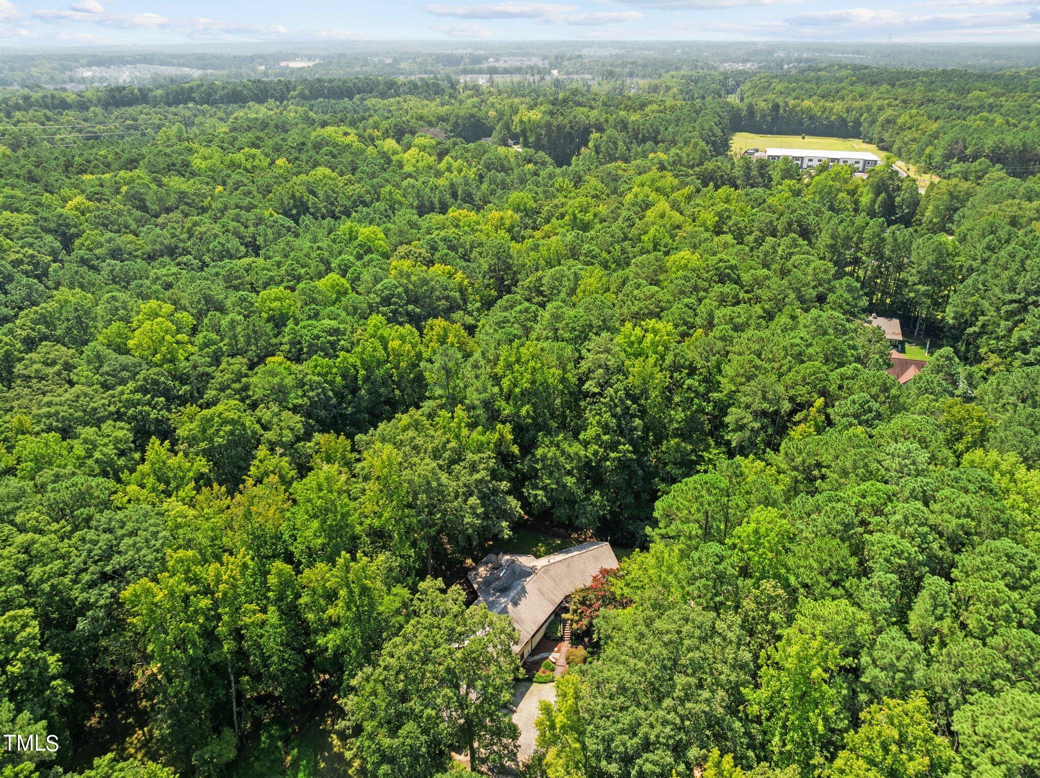 1421 Flying Hawk Road Apex, NC 27523 - Photo 70 of 77 51-web-or-mls-DJI_0237