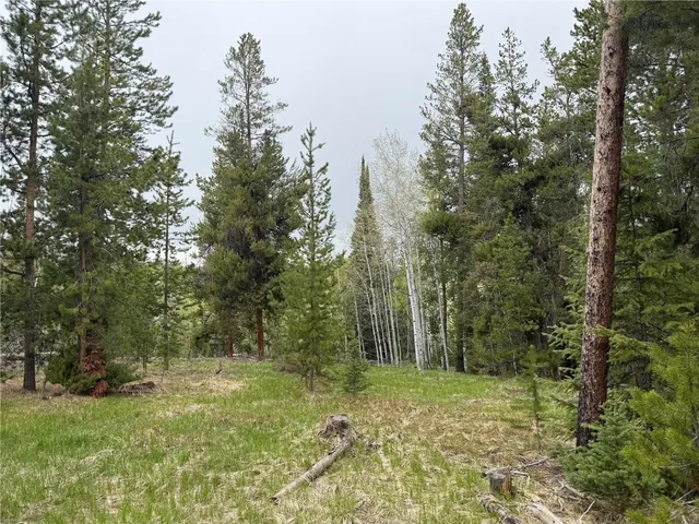 a view of a yard with trees