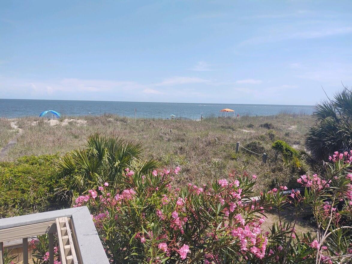 2504 Point Street Edisto Beach, SC 29438 - Photo 24 of 56 IMG_3169