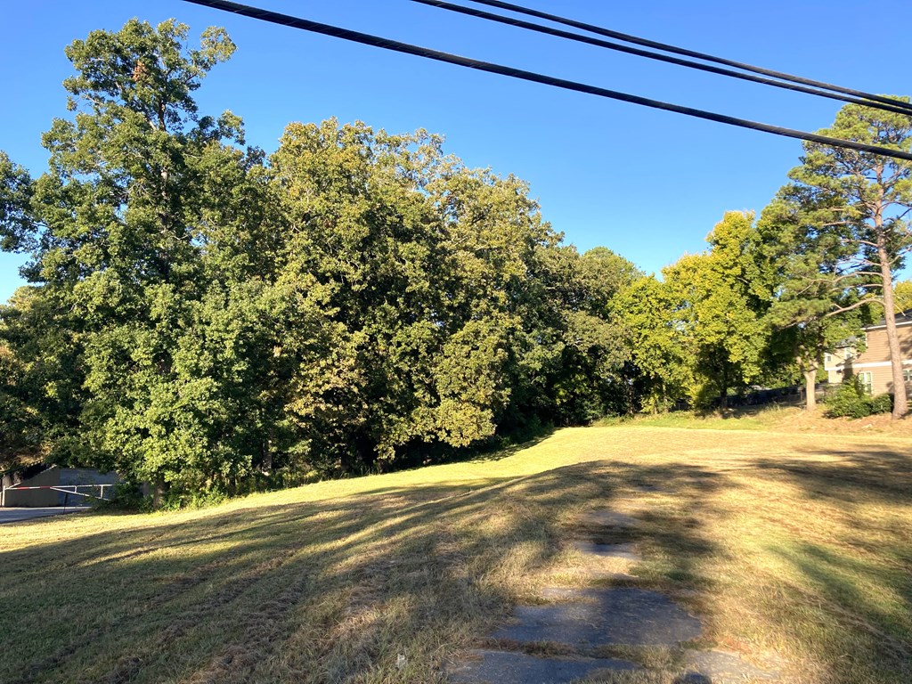 6817 Whitesville Road Columbus, GA 31904 - Photo 4 of 11 a view of a yard