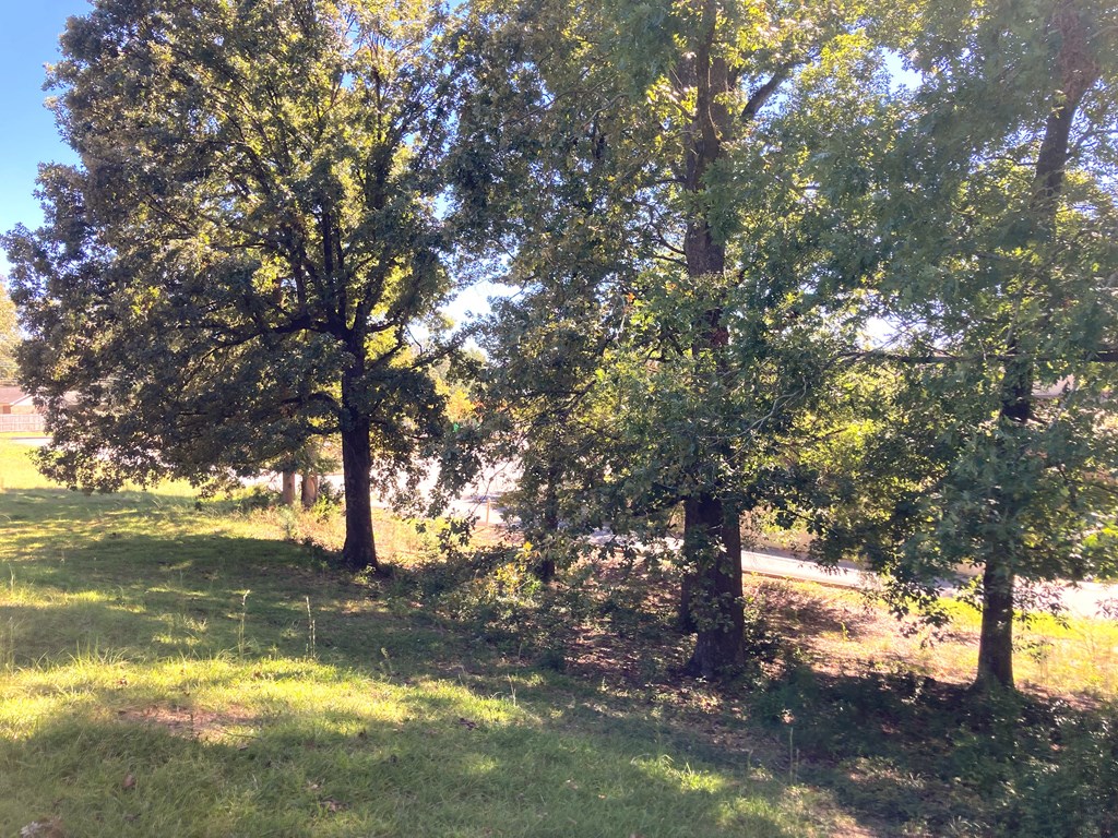 6817 Whitesville Road Columbus, GA 31904 - Photo 10 of 11 a view of an outdoor space with swimming pool