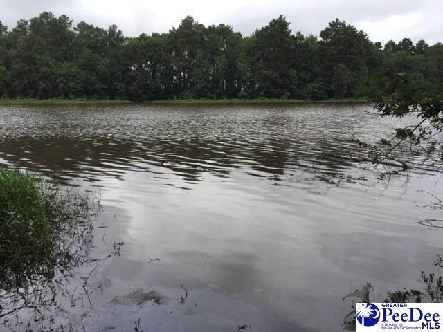 Tbd Academy Road Bennettsville, SC 29512 - Photo 1 of 1 Gallery Image 1