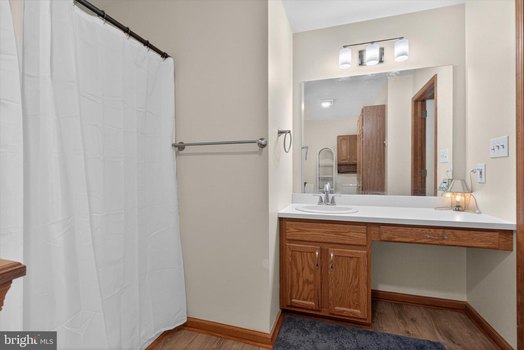 802 Hollow Road Delta, PA 17314 - Photo 20 of 45 Modern bathroom with elegant finishes.