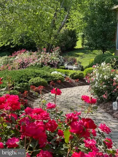 $3,100,000 | 841 Leigh Mill Road, Great Falls, VA 22066