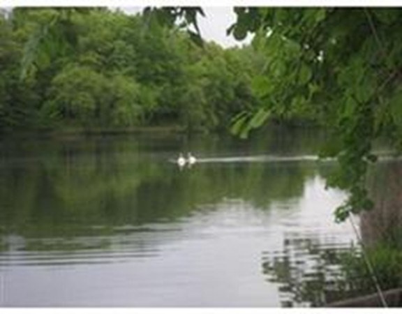 44 Washington Street, Unit 702 Brookline, MA 02445 - Photo 17 of 18